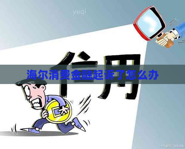 海尔消费金融起诉了怎么办
