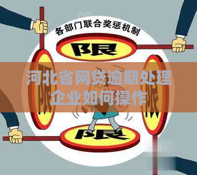 河北省网贷逾期处理企业如何操作