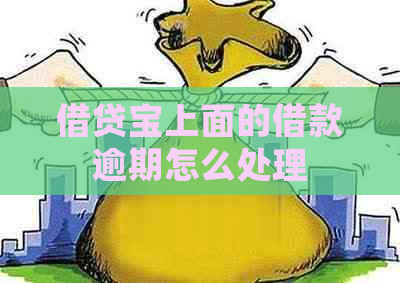 借贷宝上面的借款逾期怎么处理