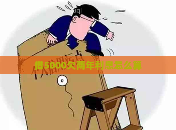 借5000欠两年利息怎么算