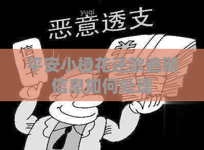 平安小橙花还款逾期信息如何处理