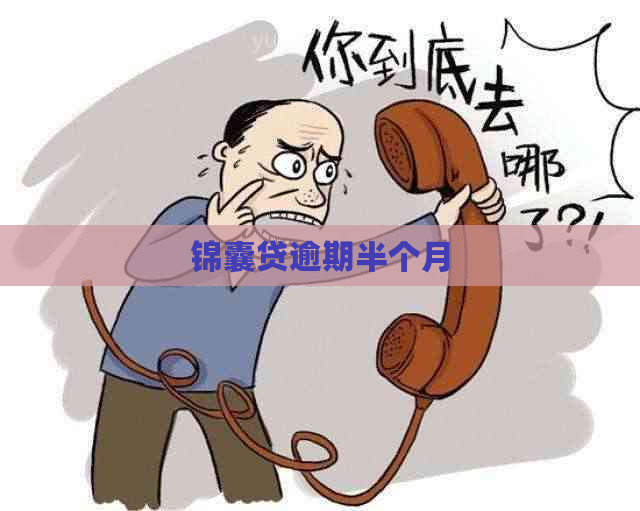 锦囊贷逾期半个月