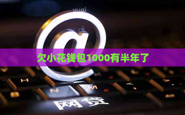 欠小花钱包1000有半年了 欠小花钱包1000有半年了
