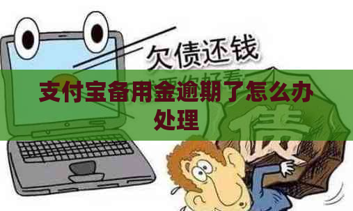 支付宝备用金逾期了怎么办处理