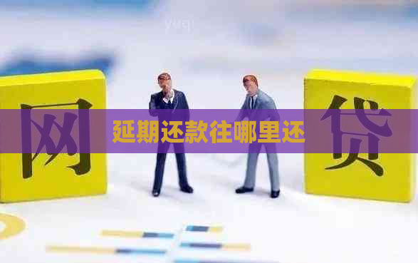 延期还款往哪里还