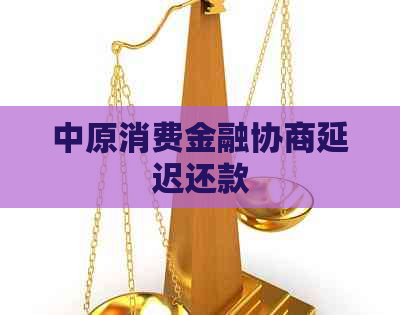 中原消费金融协商延迟还款