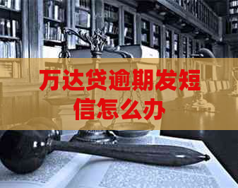 万达贷逾期发短信怎么办