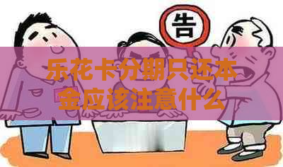 分期只还本金应该注意什么