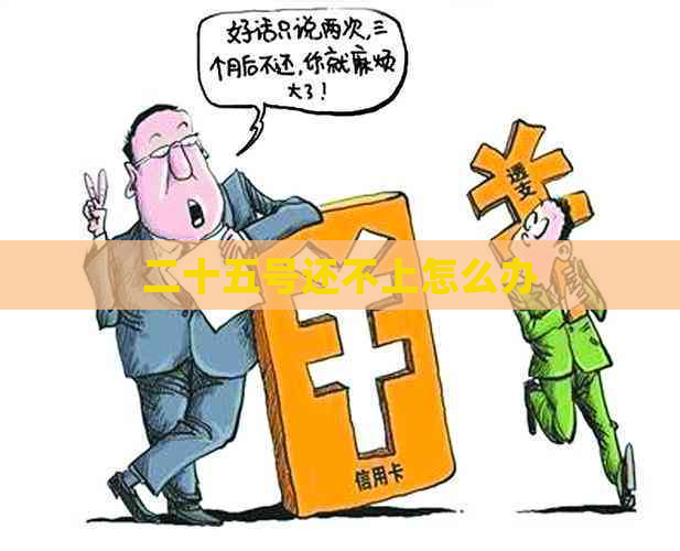 二十五号还不上怎么办