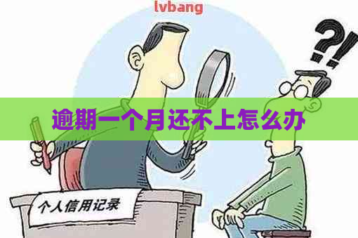 逾期一个月还不上怎么办