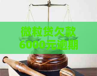 微粒贷欠款6000元逾期三年怎么办