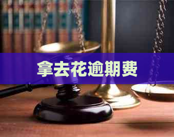拿去花逾期费