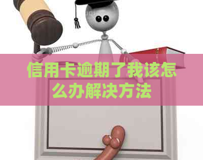 信用卡逾期了我该怎么办解决方法