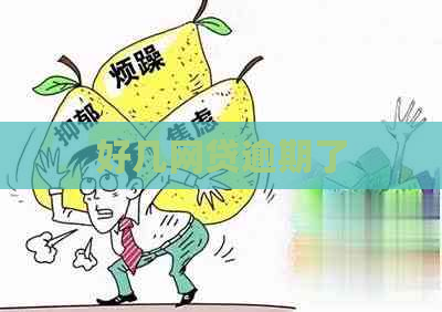 好几网贷逾期了