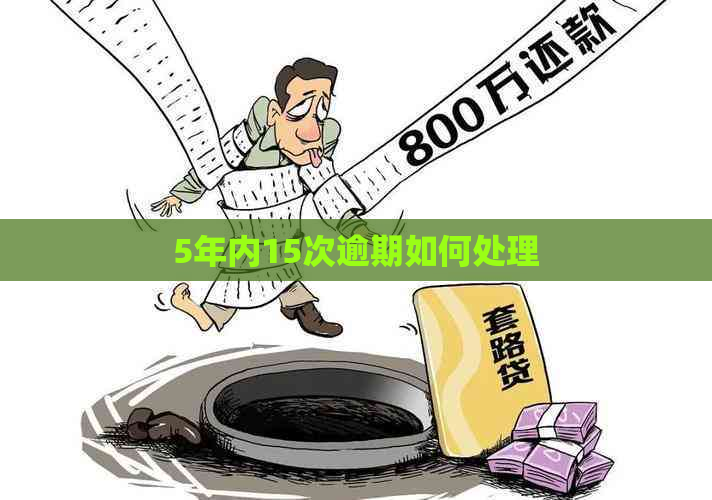 5年内15次逾期如何处理