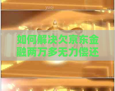 如何解决欠京东金融两万多无力偿还的问题