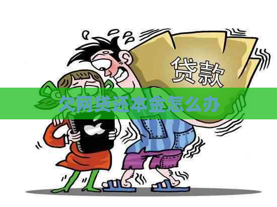 欠网贷还本金怎么办
