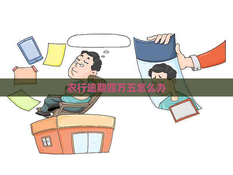 农行逾期四万五怎么办