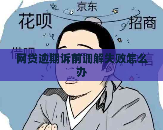 网贷逾期诉前调解失败怎么办