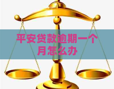 平安贷款逾期一个月怎么办