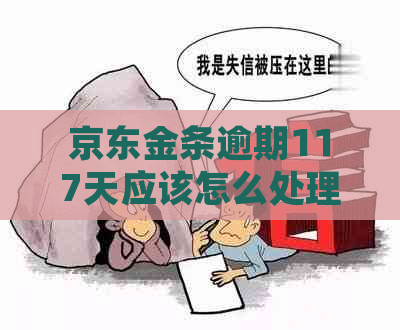 京东金条逾期117天应该怎么处理