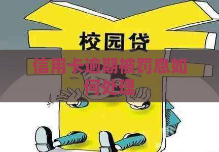 信用卡逾期被罚息如何处理