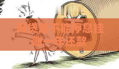 网贷能不能停息挂账一年还款