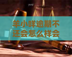 羊小咩逾期不还会怎么样会被怎么处理