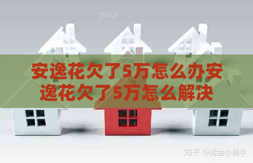 安逸花欠了5万怎么办安逸花欠了5万怎么解决