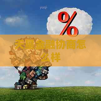 天星金融协商怎么样