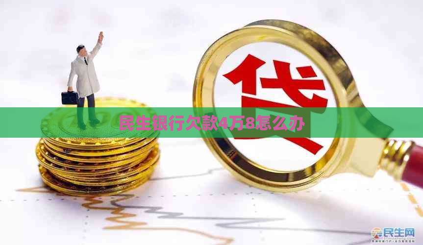 民生银行欠款4万8怎么办