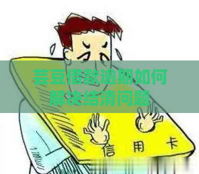 芸豆借款逾期如何解决结清问题