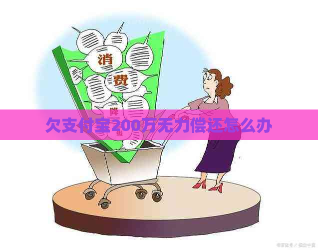 欠支付宝200万无力偿还怎么办