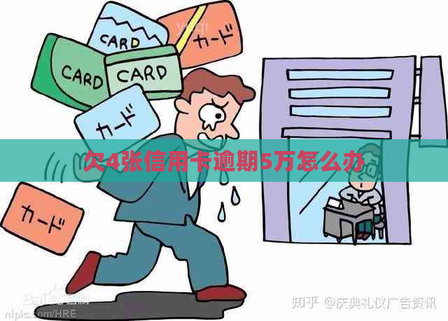 欠4张信用卡逾期5万怎么办