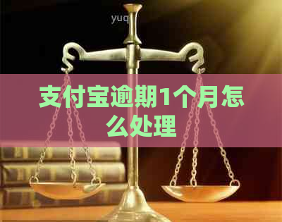 支付宝逾期1个月怎么处理