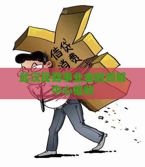 武汉民商事业金融调解中心