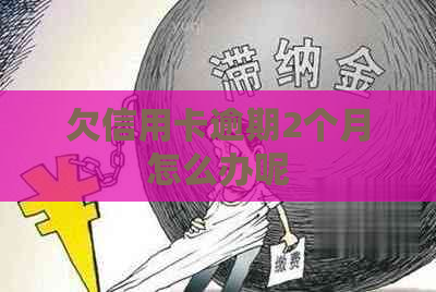 欠信用卡逾期2个月怎么办呢