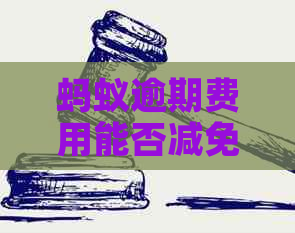 蚂蚁逾期费用能否减免