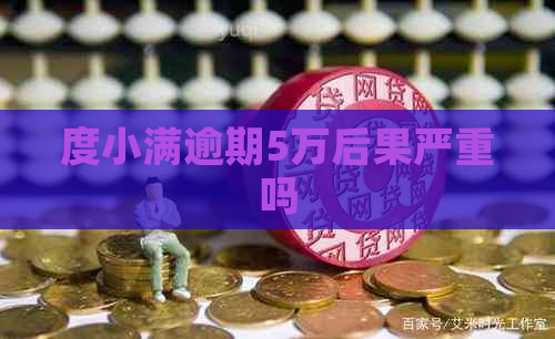 度小满逾期5万后果严重吗