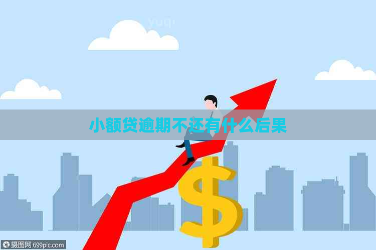 小额贷逾期不还有什么后果