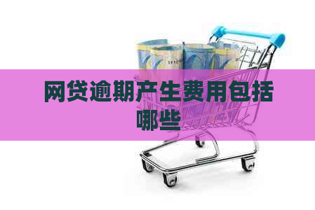 网贷逾期产生费用包括哪些