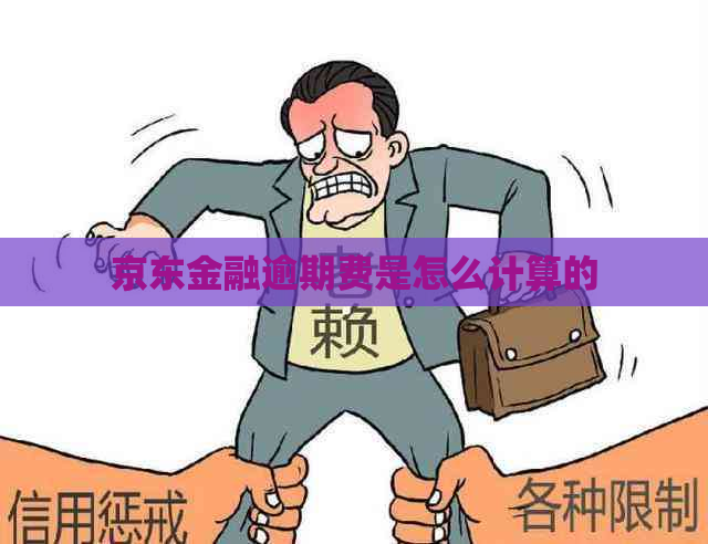 京东金融逾期费是怎么计算的