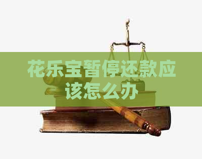 花乐宝暂停还款应该怎么办
