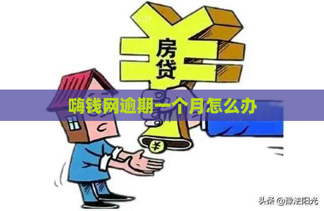 嗨钱网逾期一个月怎么办