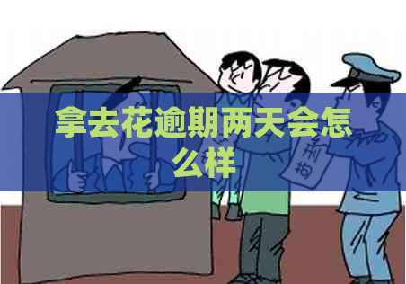 拿去花逾期两天会怎么样