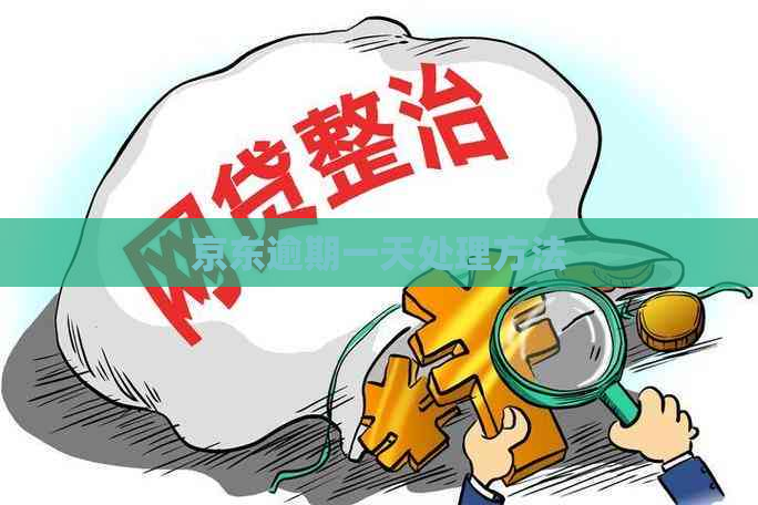 京东逾期一天处理方法