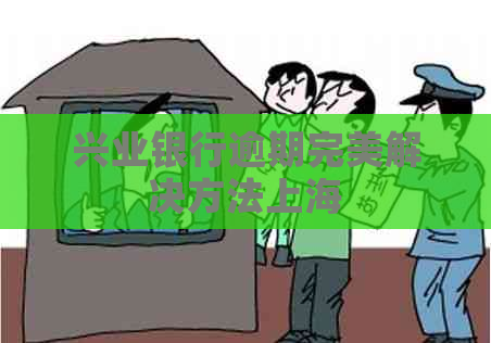 兴业银行逾期完美解决方法上海