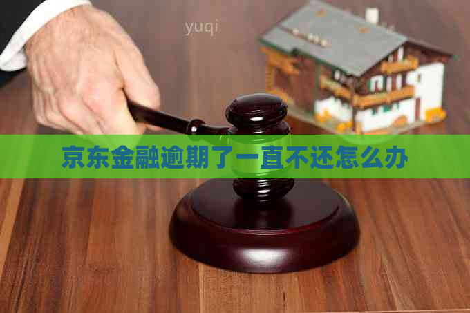 京东金融逾期了一直不还怎么办