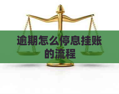 逾期怎么停息挂账的流程