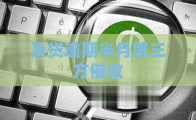 及贷逾期半月第三方